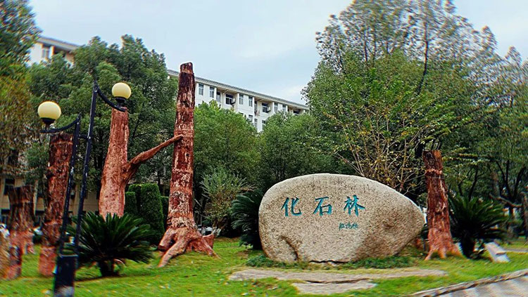 中國地質(zhì)大學(武漢)-地大熱能 中國地質(zhì)大學(武漢)-地大熱能