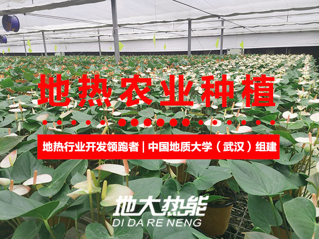 濟南：“地熱能+農(nóng)業(yè)”產(chǎn)業(yè)融合，讓地熱能真正“熱”起來-地大熱能